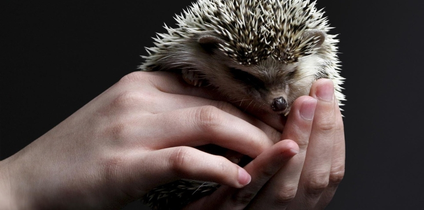 Blog thumbnail